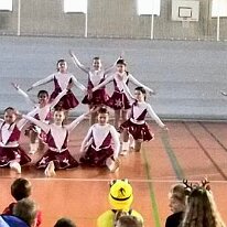 WhatsApp Image 2026-02-13 at 11.56.22 (6)