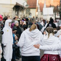 1185_Narrenumzug_Grötzingen_Aichtal_31.01.2026_FotoatelierEbinger_NZ9_8508_20x30cm