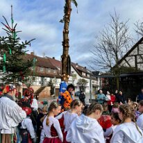 WhatsApp Image 2026-02-13 at 02.00.21_7