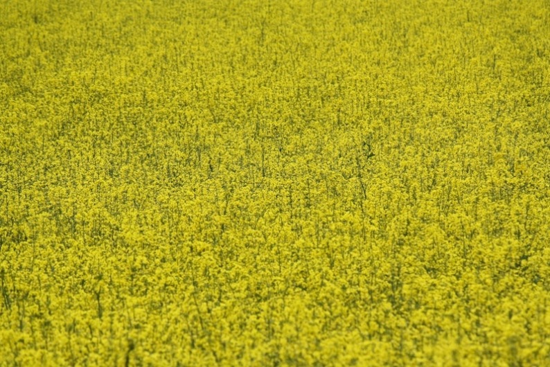 Vatertag_GD_2013_028