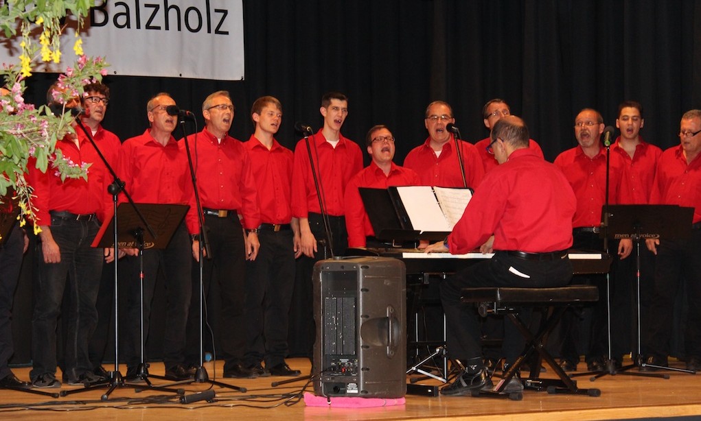 men at voice in concert