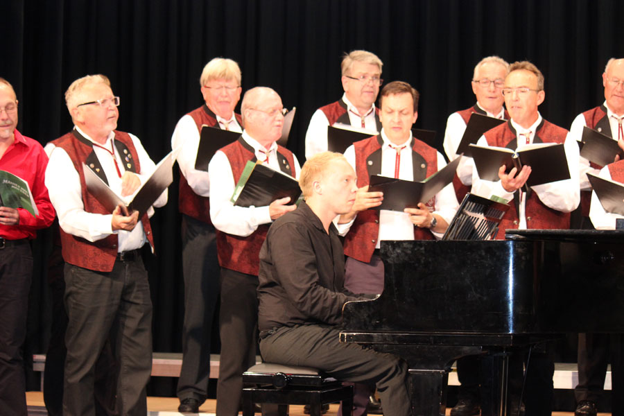 männer in concert 2015