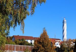 IMG_8919