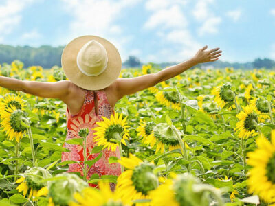 Sängerbund wünscht schöne Sommerferien!